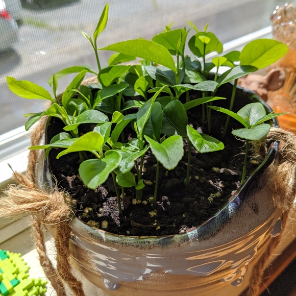 Meet your Posher, Abbi - Picture 3 of 7